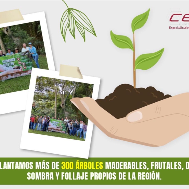 Reforestación CEEX